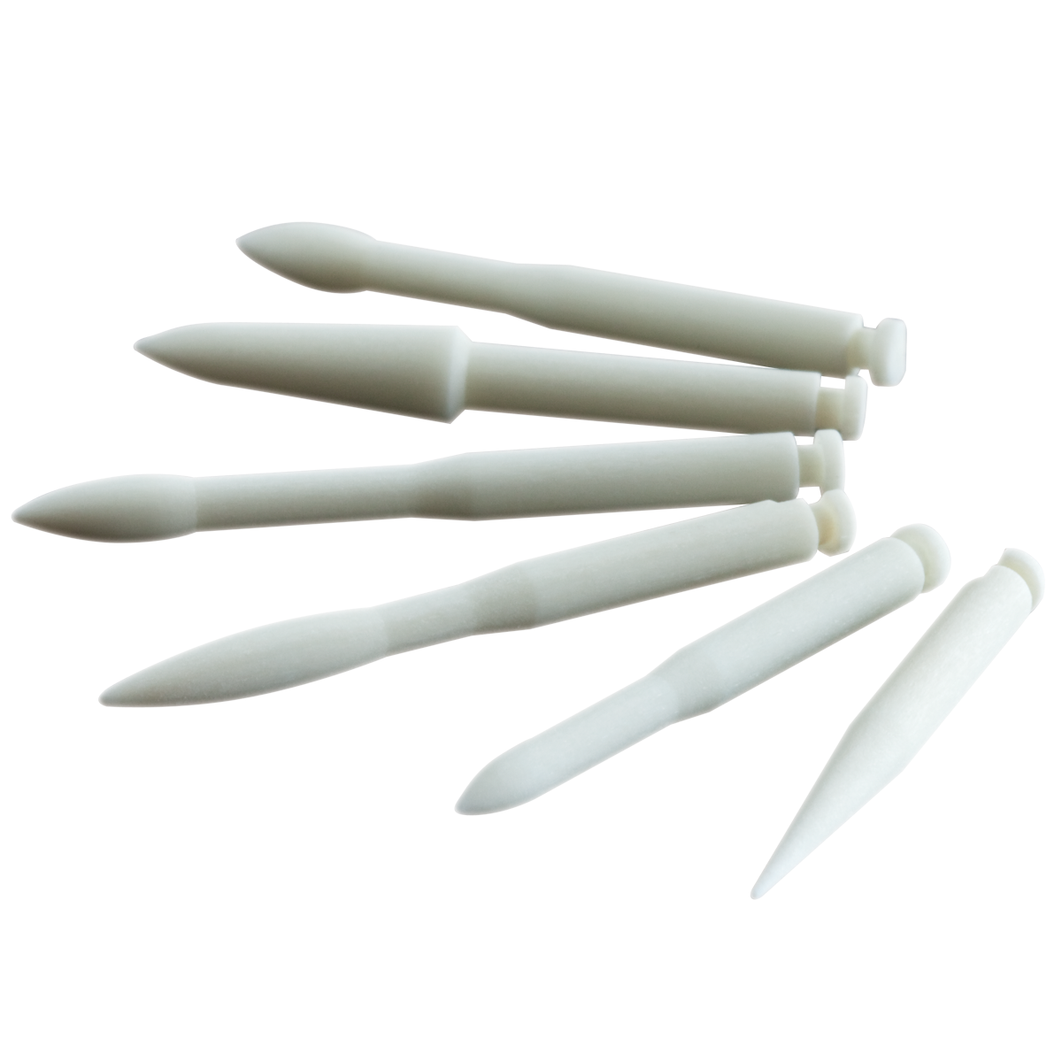 Prodia® Stainbuster® Bur